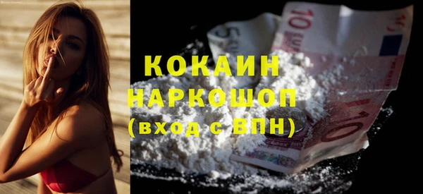 индика Волосово