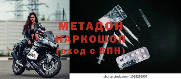стафф Вязьма