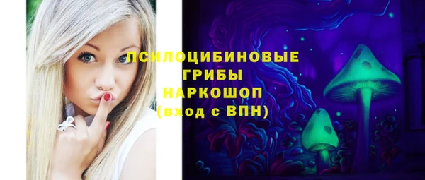 стафф Вязьма