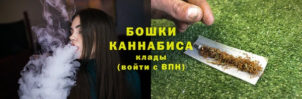 стафф Вязьма